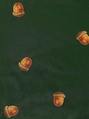 2---A4_sample_winternuts-WEBai2FA5C5dFA9r