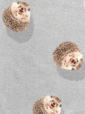 2---A4_sample_hedgy grey WEB