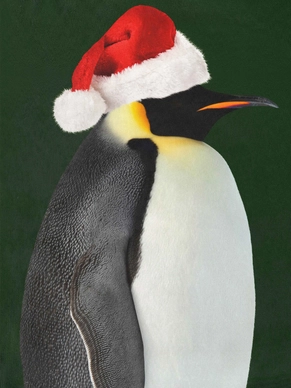 2---A4_sample_pinguin xmas placement WEB