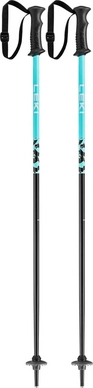 Ski Pole Leki Rider Darkblue Light Turquoise White