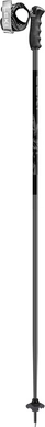 Bâtons de ski Leki Detect S Dark Anthracite Black