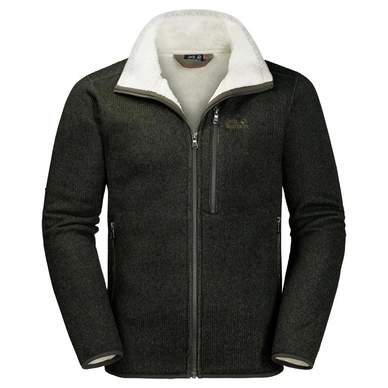 Fleecejacke Jack Wolfskin Robson Fjord Pinewood Herren