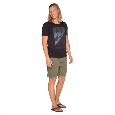 1712491_290_model1
