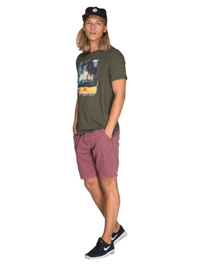 1712591_855_model1