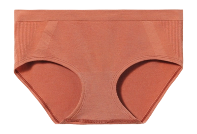 Caleçon Smartwool Femme Intraknit Hipster Boxed Copper