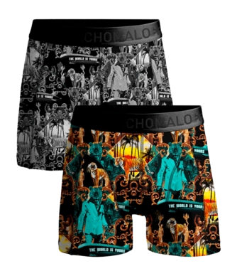Boxershort Muchachomalo Men Shorts Montana Print/Print (2-Pack)