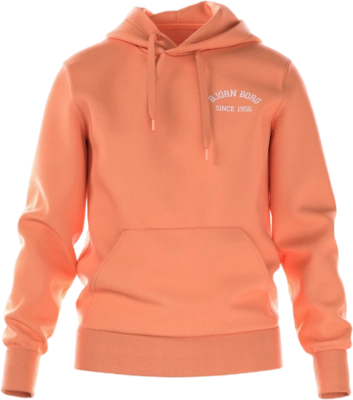 Hoodie Björn Borg Men Borg Essential Hoodie Cadmium Orange
