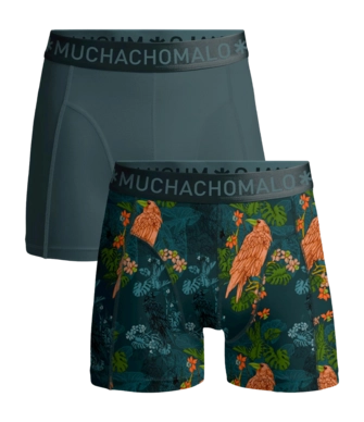 Boxer Muchachomalo Homme Shorts Crowsketch Print/Green (2-Pièces)
