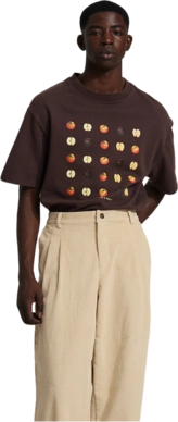 T-Shirt Bram's Fruit Apple Tee Herren Brown