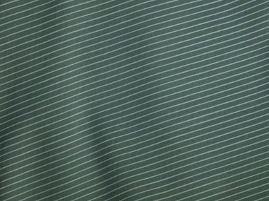 6---fabric-cotton-tencel-green-stripe