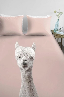 Alpaca_Peach-60_Online_Large.jpg_20230323141956_1