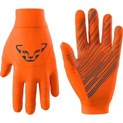 Handschoen Dynafit Unisex Upcycled Thermal Gloves Ibis 8160