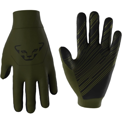 Handschoen Dynafit Unisex Upcycled Thermal Gloves Winter Moss 0910