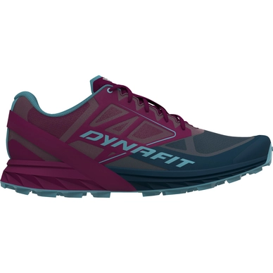 Running Shoes Dynafit Men Alpine Blueberry Burgundy
