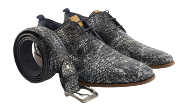 5---greg-wood-blauwe-nette-schoenen (4)-_no-bg