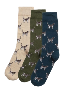 Sok Barbour Men Pointer Dog Socks Gift Box Forest Mist