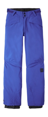 Ski Trousers O'Neill Boys Hammer Surf the web Blue