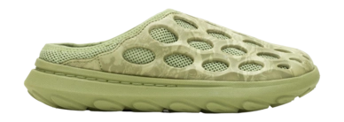 J006986-_no-bg