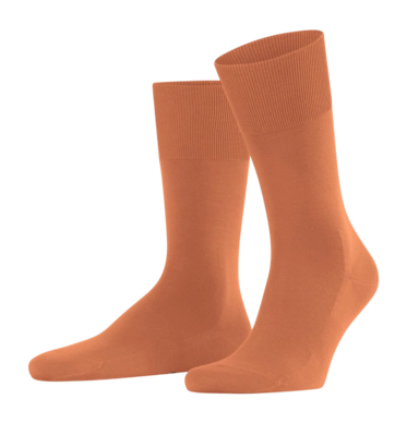 Socken Falke ClimaWool SO Herren Tandoori