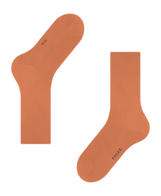 5---1421000-63716994e1e67-_no-bg