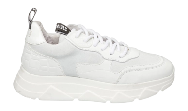 Steve Madden Women Pitty White White