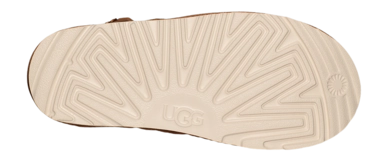 7---1159770K-CHE_6-_no-bg