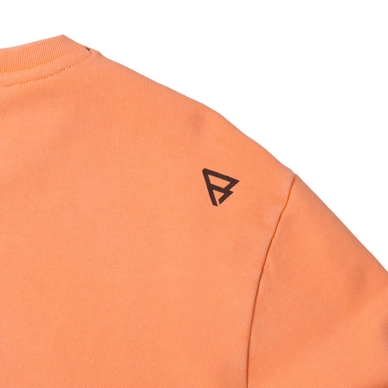 Trui Brunotti Men Arik Peach Puff