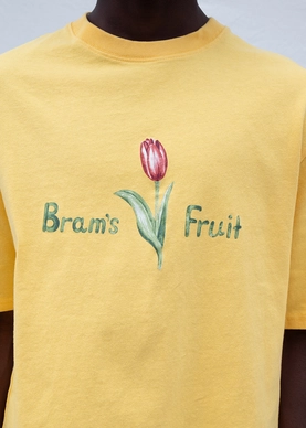 3---yellow-tulip-close-bramsfruit