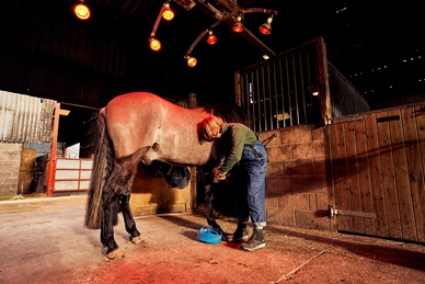 8---Muck Yorkshire Stables and Hoof Cleaning Web 24
