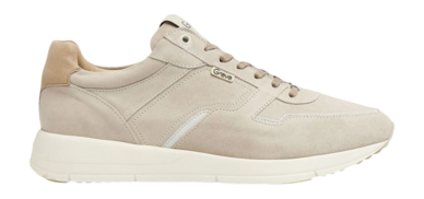 Baskets Greve Walker 2928 Fantasma Suede