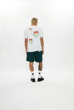4---image (13)