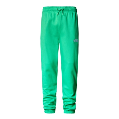 Pantalon de Jogging The North Face Homme Essential Jogger Optic Emerald