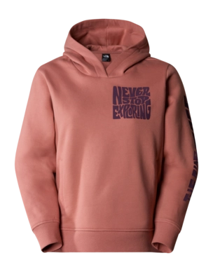 Trui The North Face Women Mountain Play Hoodie Light Mahogany