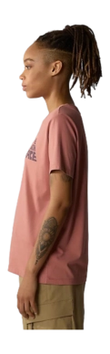 download (26)-_no-bg