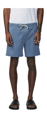 4---1204_c181f99098-gregor-shorts-1154-267_c-original-_no-bg