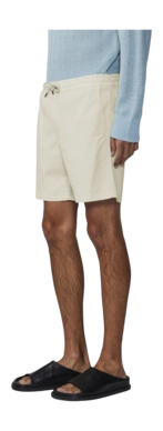 5---1204_899be7e949-gregor-shorts-1154-009_s-original-_no-bg