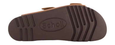 4---scholl-kathleen-lea-w-1002285-2-_no-bg