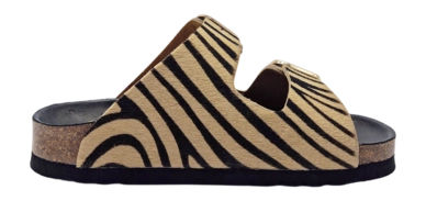 3---10727-_no-bg