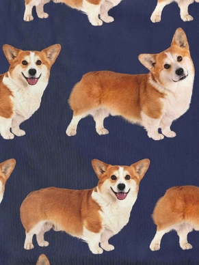4---corgi-navy-bikershorts-dames-snurk-2