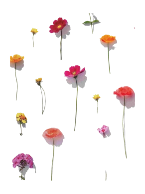 4---Bloom_2880x3840px_4-_no-bg