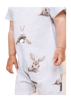 bunny-bums-boxpakje-snurk-5-_no-bg