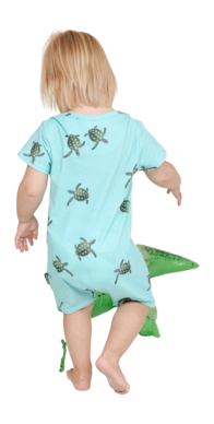 3---sea-turtles-boxpakje-snurk-3-_no-bg