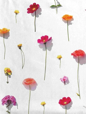 6---Bloom_2880x3840px_4