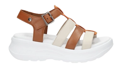 Sandales Panama Jack Femme Naila Colors B2 Bark