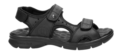 Sandales Panama Jack Homme Salton C36 Black