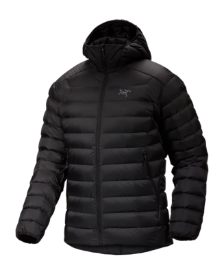 Veste Arc'teryx Homme Cerium Hoody Black 2024