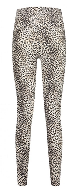 11---D4643_Cheetah_Back