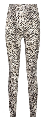 12---D4643_Cheetah_Front