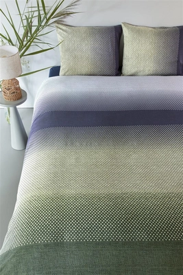 3---Duco_Blue Green-60_Online