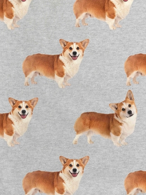 3---corgi-time-trui-jurk-dames-snurk-2